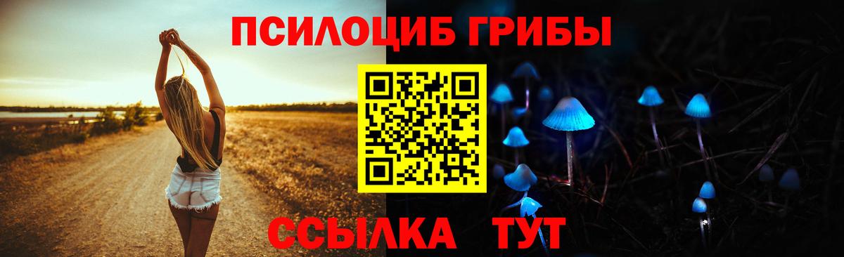 Рыбинск  Псилоцибиновые грибы прущие грибы  Вход с VPN  Галлюциногенные грибы Cubensis 